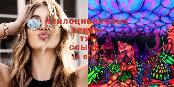 спиды Алексеевка