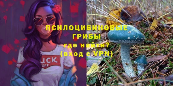 ECSTASY Алексин