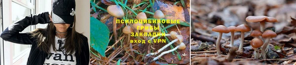 ECSTASY Алексин